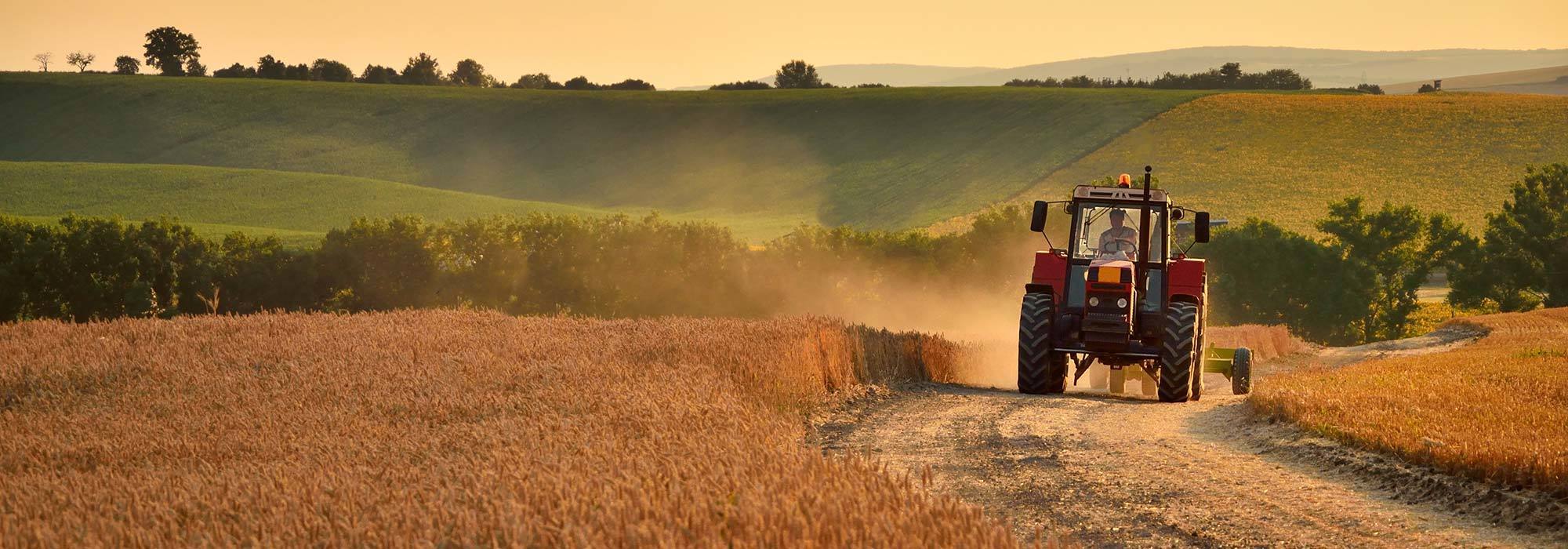 Full Service Real Estate