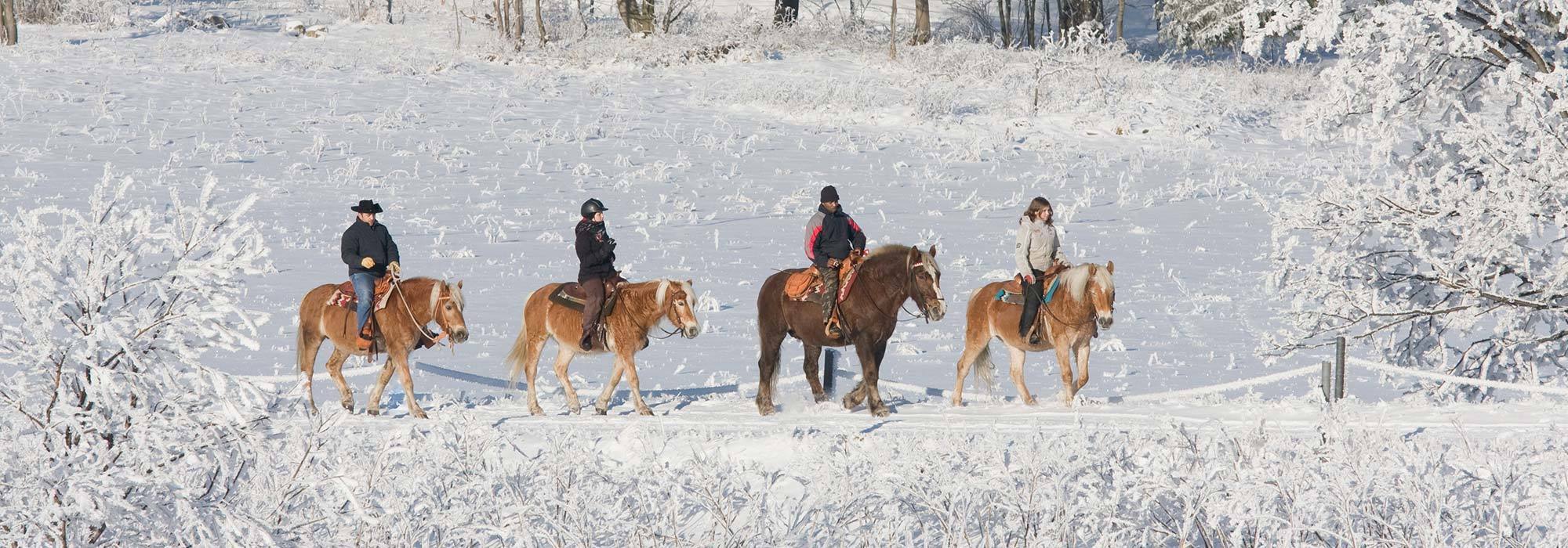 Full Service Real Estate