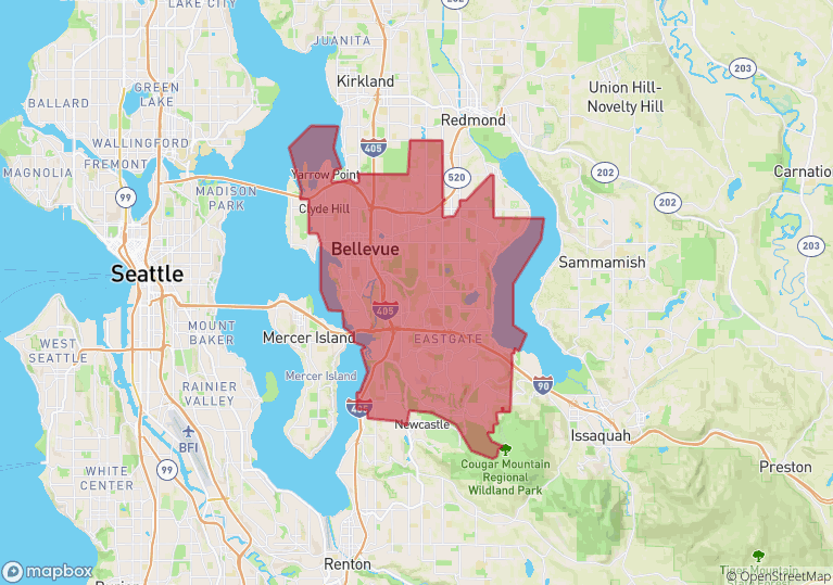 Bellevue Washington Realty Group