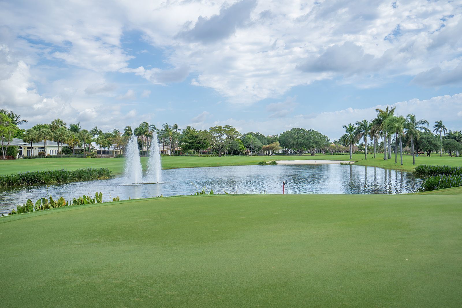 The Club Royal Palm Estates Realty