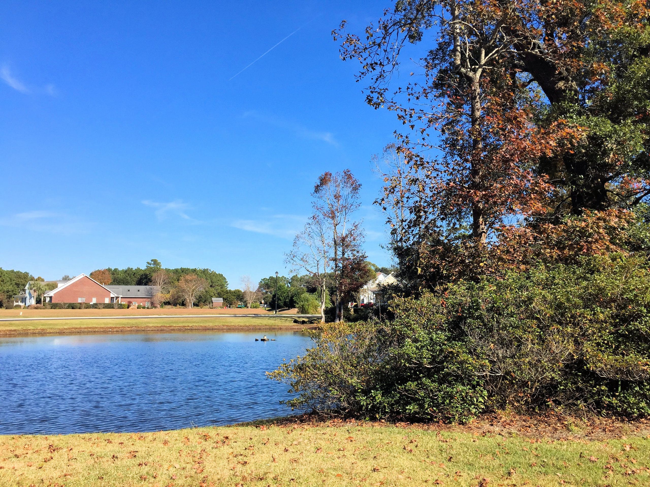 Pecan Grove Plantation Homes for Sale in Hampstead, NC