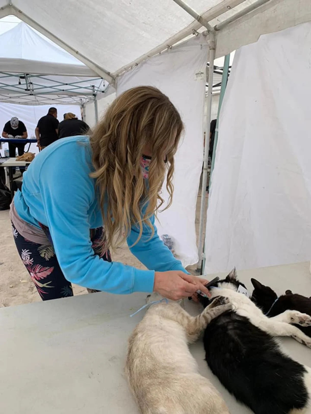 International Spay & Neuter Clinic Puts Atlanta NonProfit over Goal of