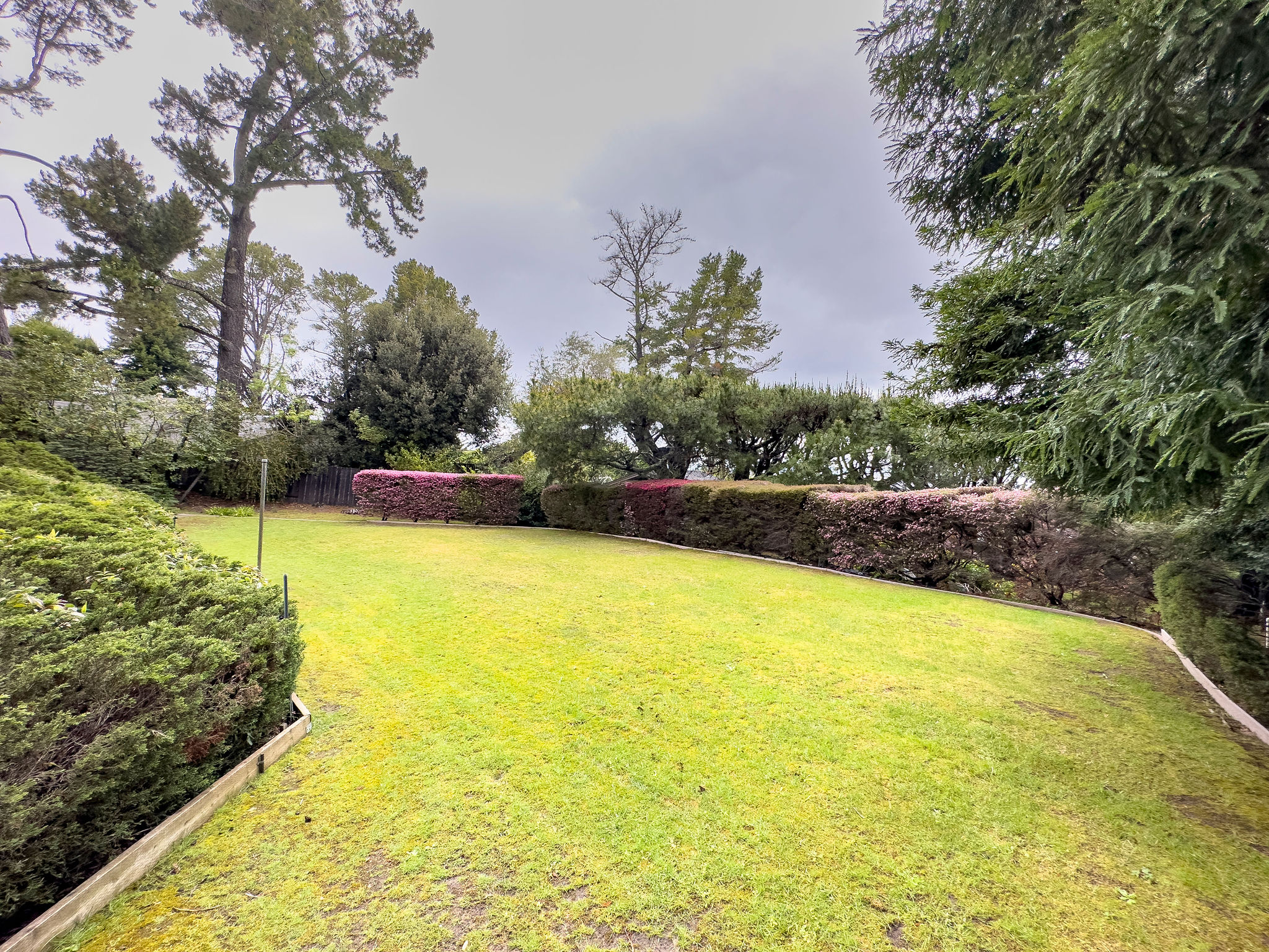 45Patton Green Banker