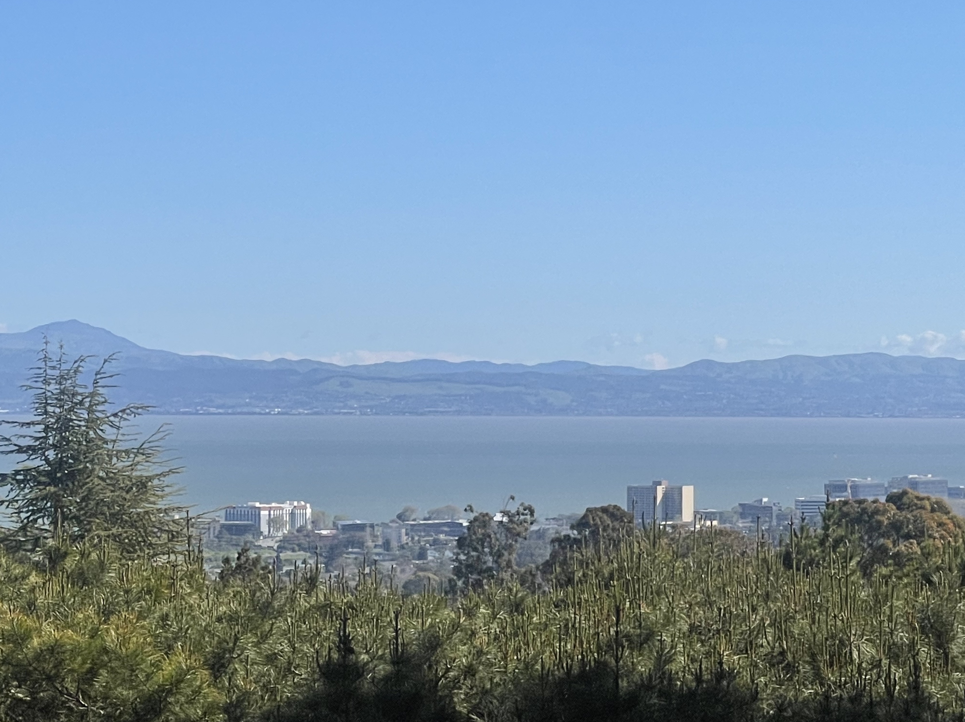 45Patton Green Banker