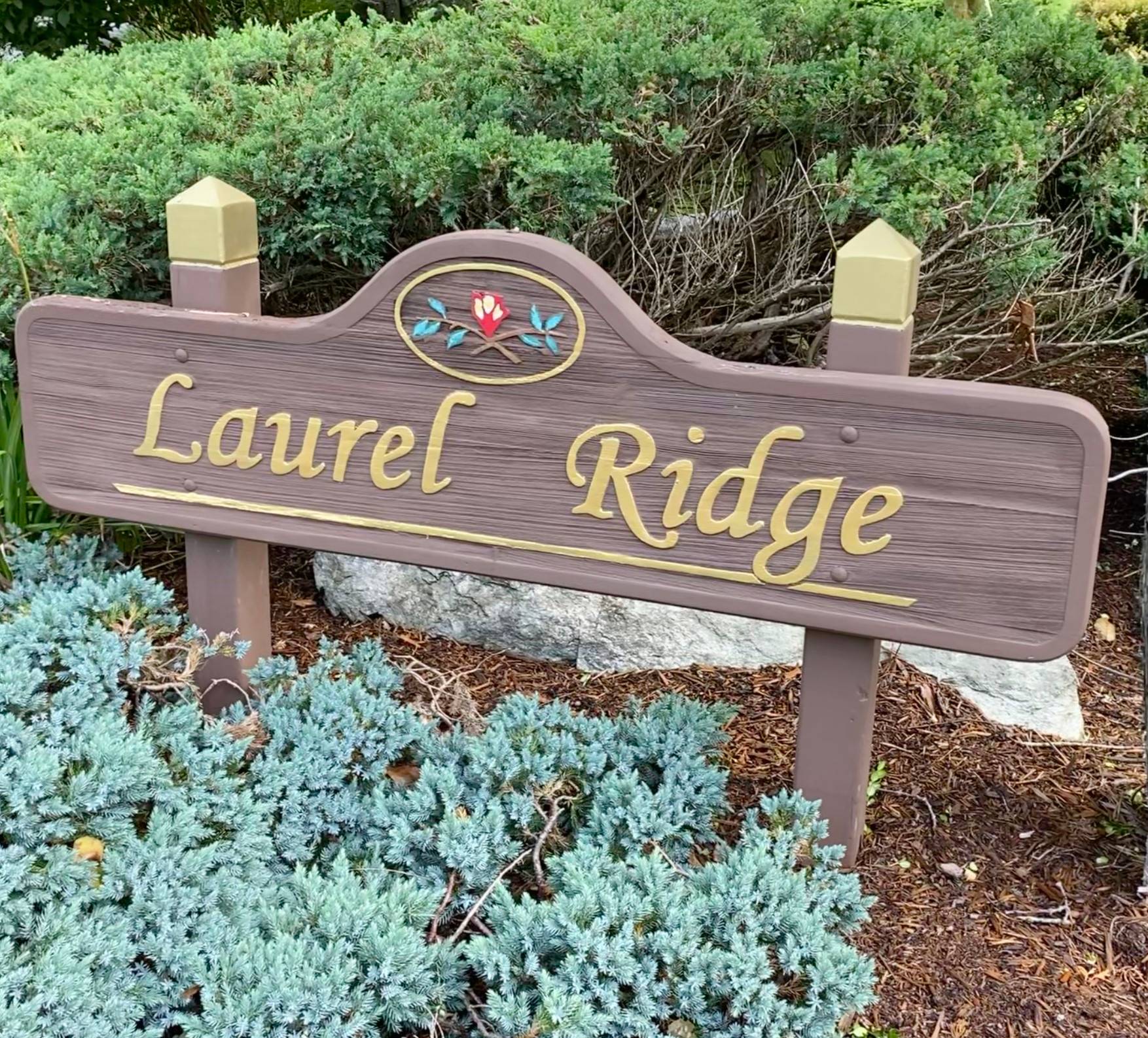 Laurel Ridge Vilas, NC Homes For Sale 828 Real Estate