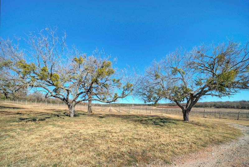 Willow City Ranch 25 Acres DMTX Realty Group Austin, TX