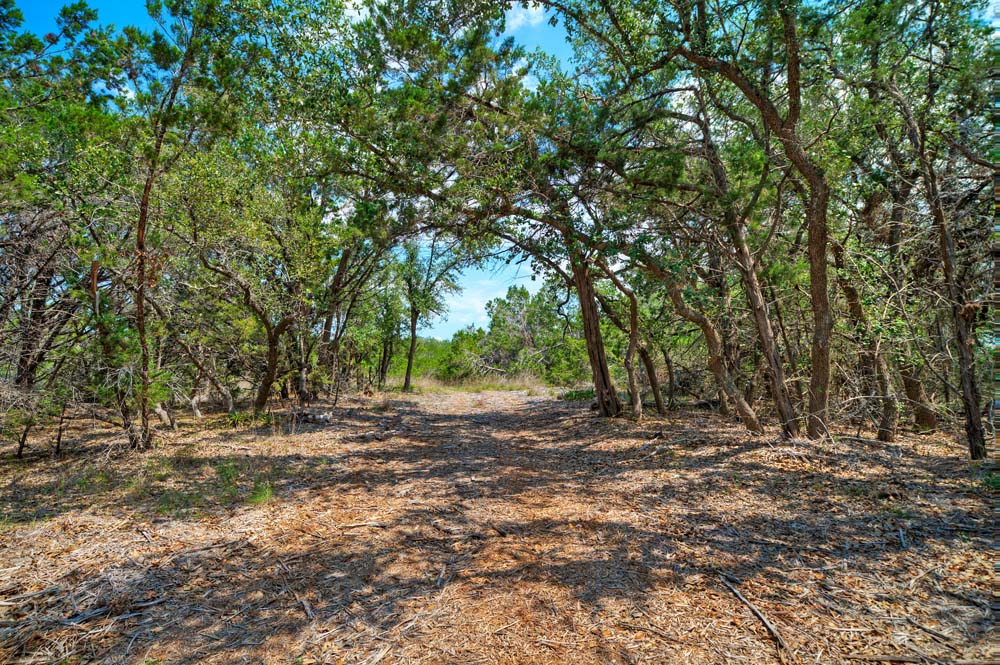 174 +/ Acres in Dripping Springs DMTX Realty Group Austin, TX