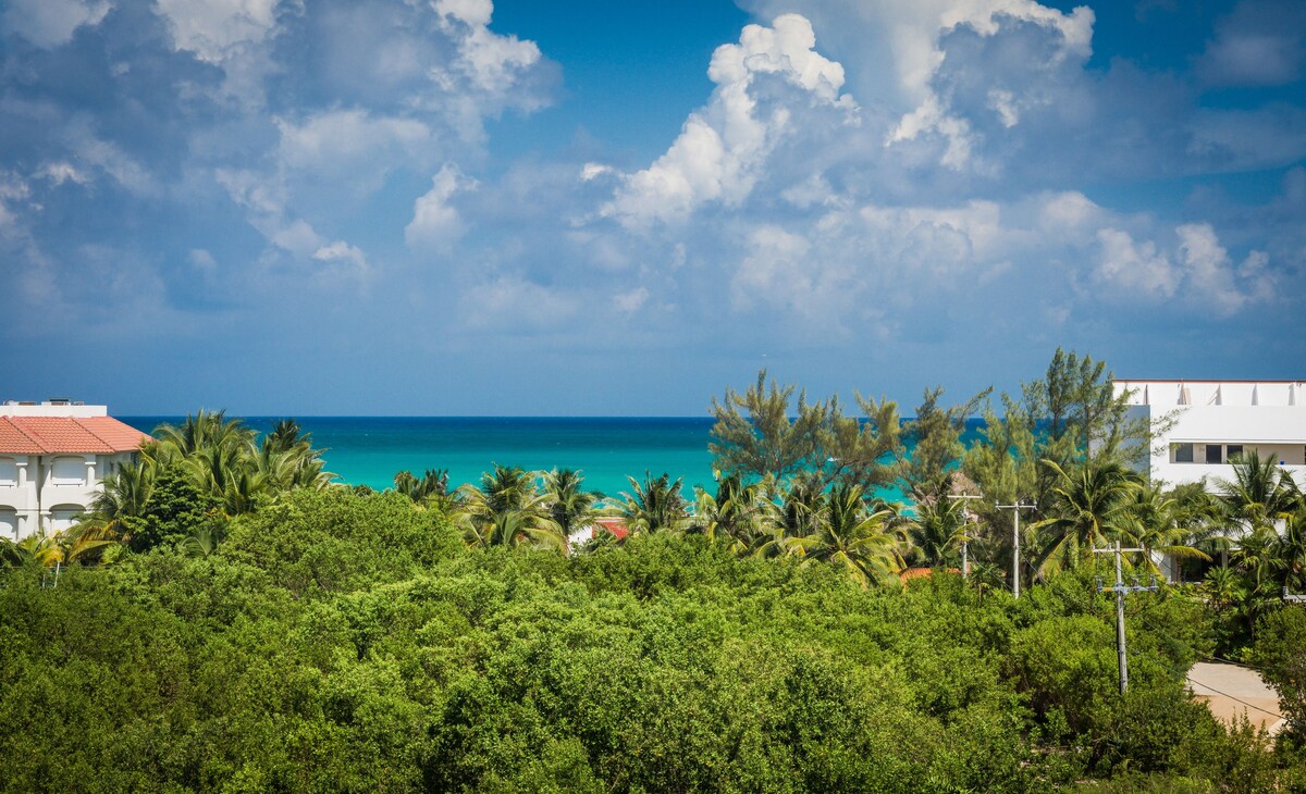 Acacia Condos Riviera Maya Investments