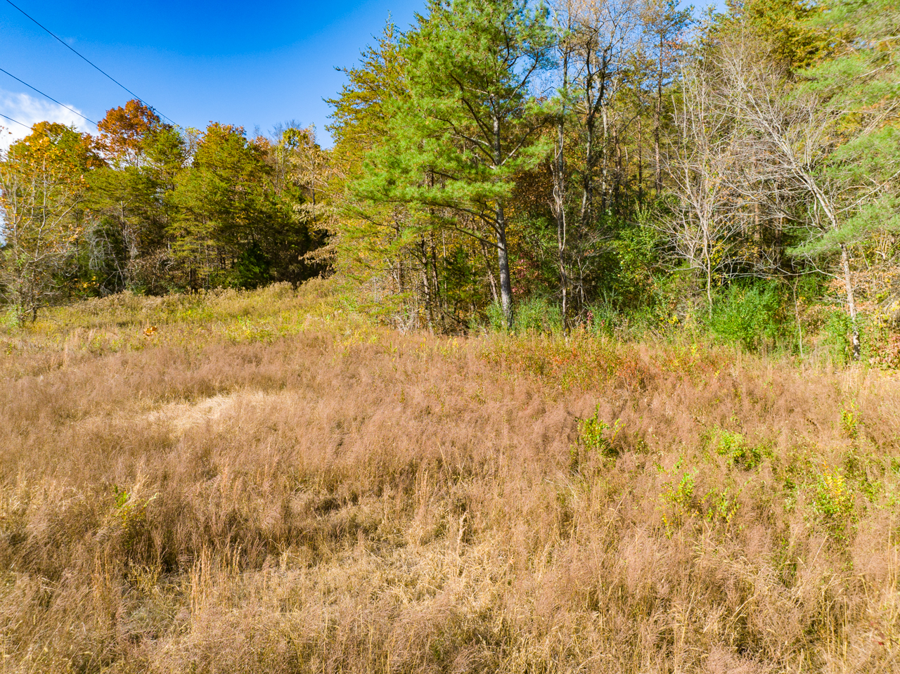 Copper Valley Road Ryan Coleman Hometown Realty Knoxville's Top Realtor