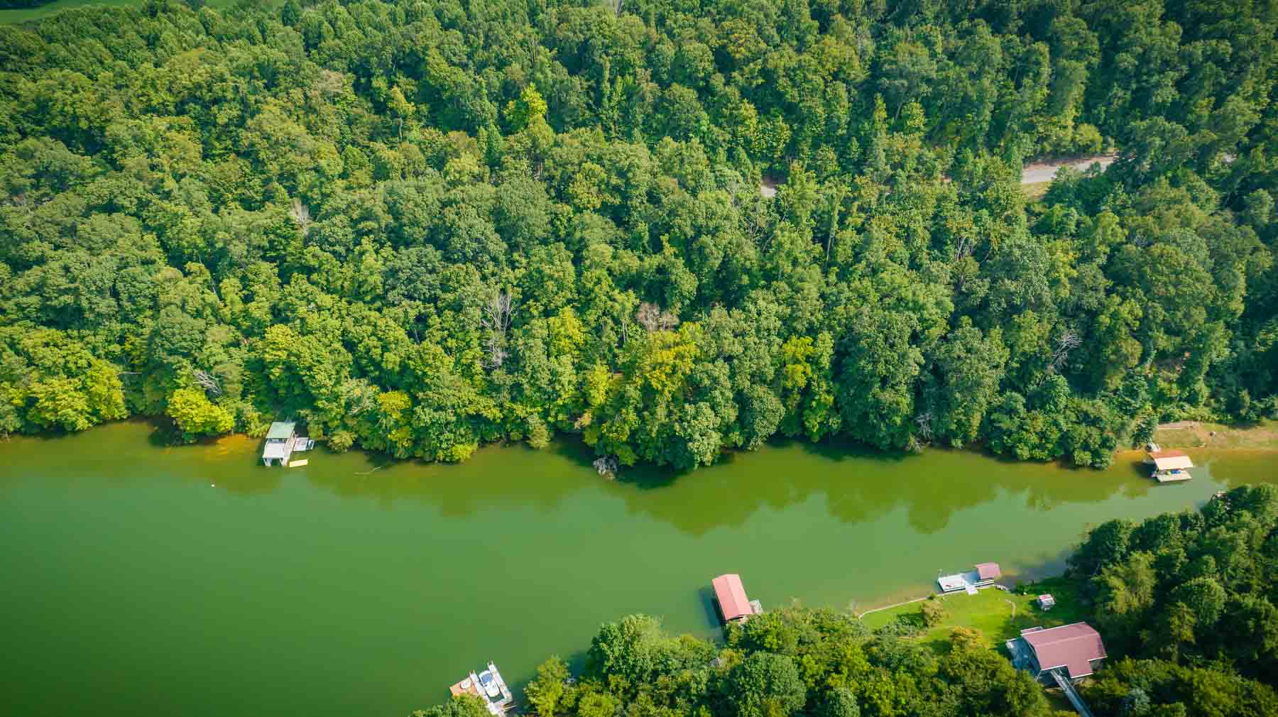 113 Charlies Cove Real Estate For Sale Red Door Agency