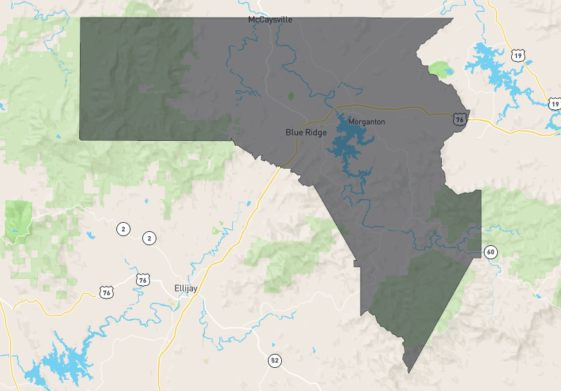 Fannin County First Suburban Realty & Team