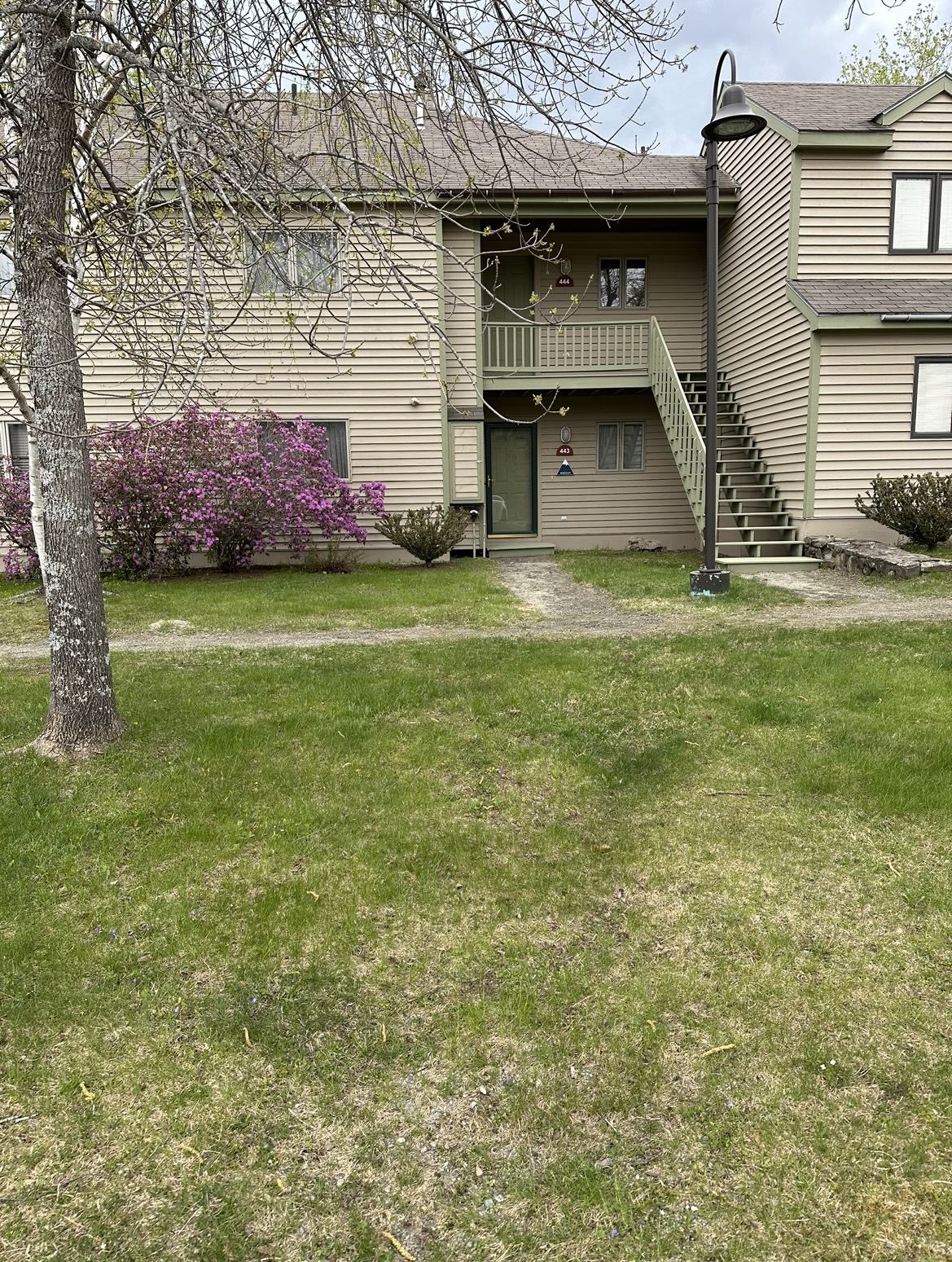 Rental Snowflower 443 Mountainside Real Estate