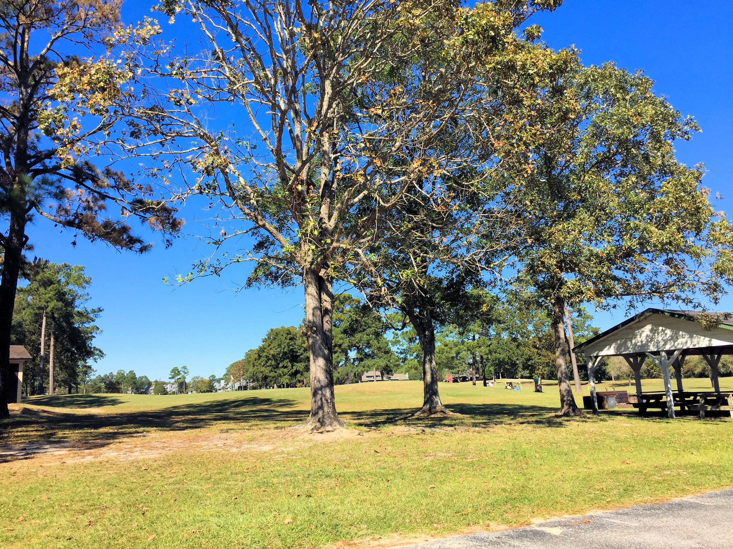 Olde Point Homes for Sale in Hampstead, NC The Cameron Team