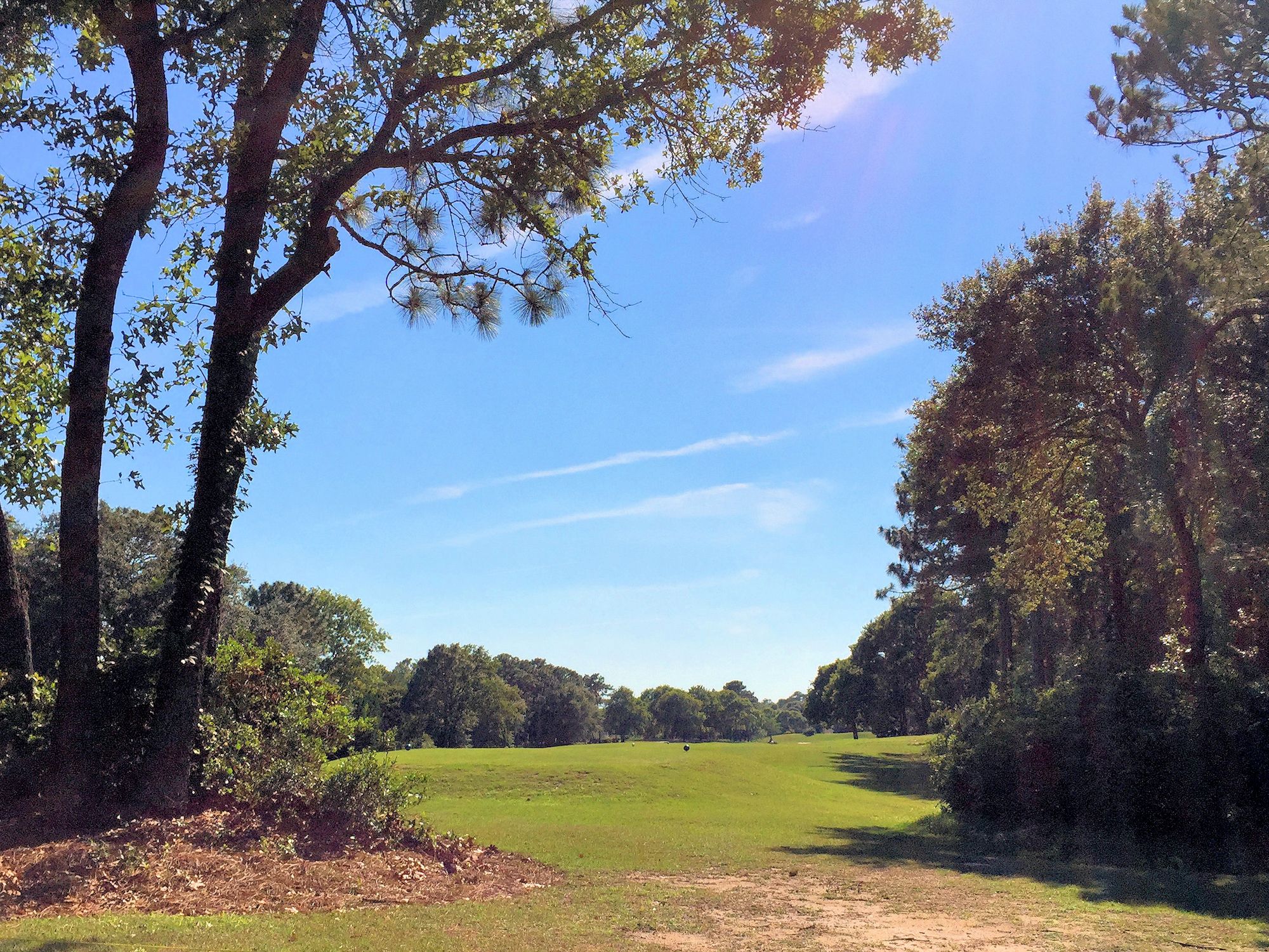 Beau Rivage Plantation Homes for Sale in Wilmington, NC
