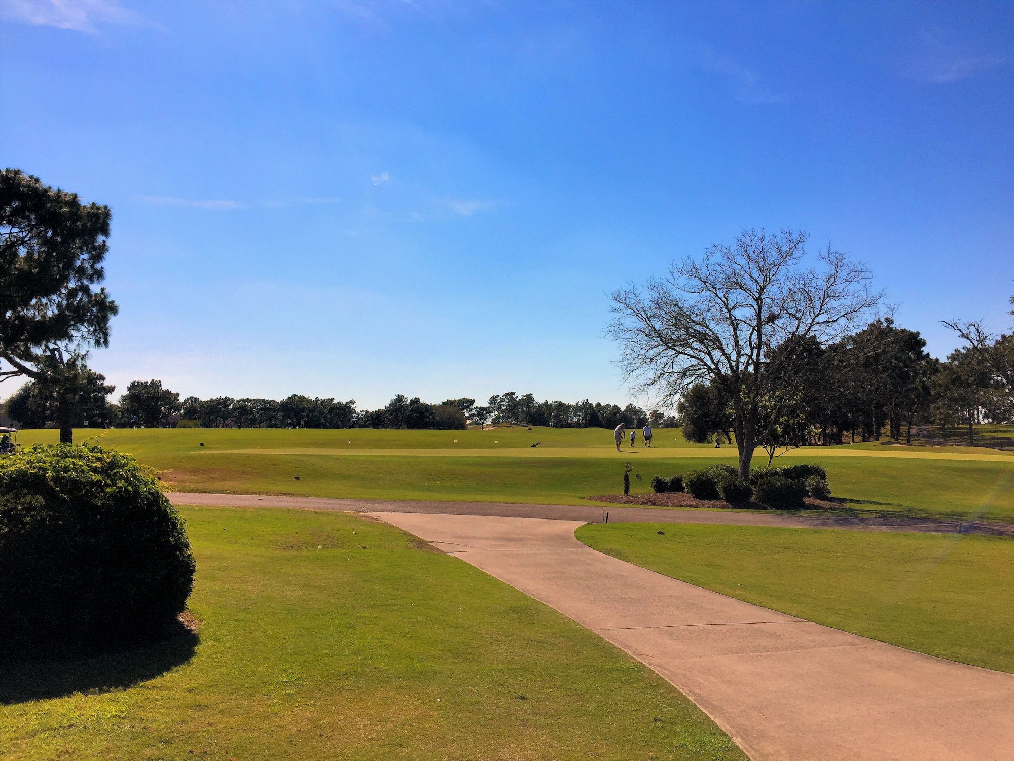 Beau Rivage Plantation Homes for Sale in Wilmington, NC