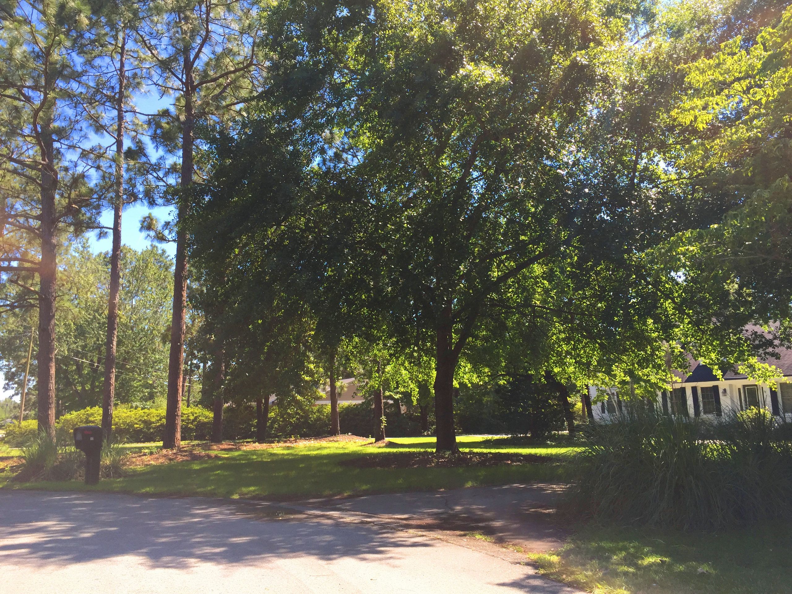 Pine Valley Estates Homes for Sale in Wilmington, NC Cameron Team