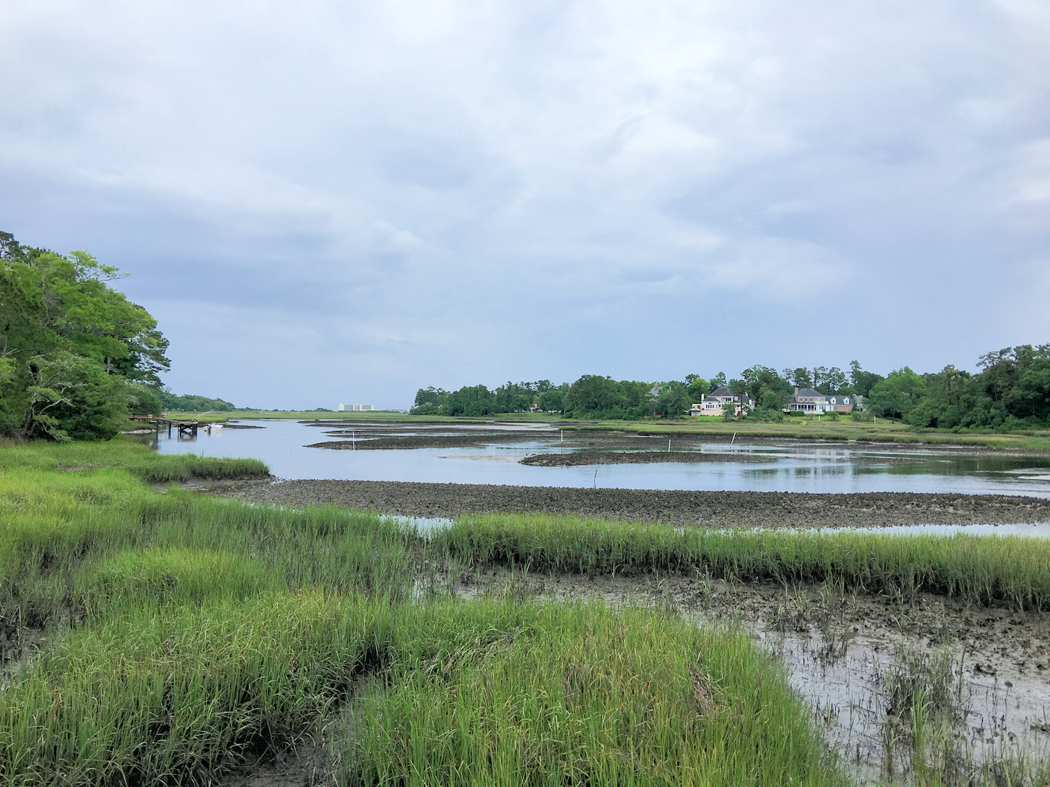 Demarest Landing Homes for Sale in Wilmington, NC The Cameron Team