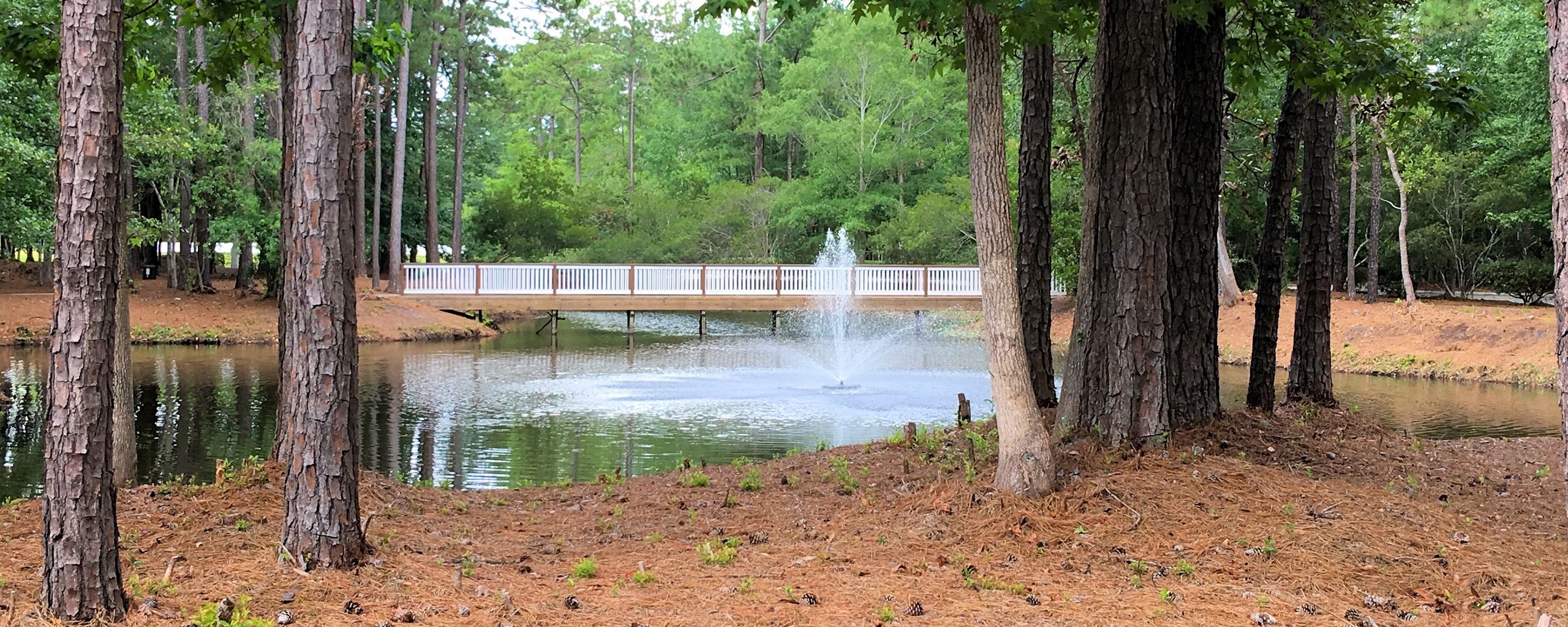 Demarest Village Homes for Sale in Wilmington, NC The Cameron Team