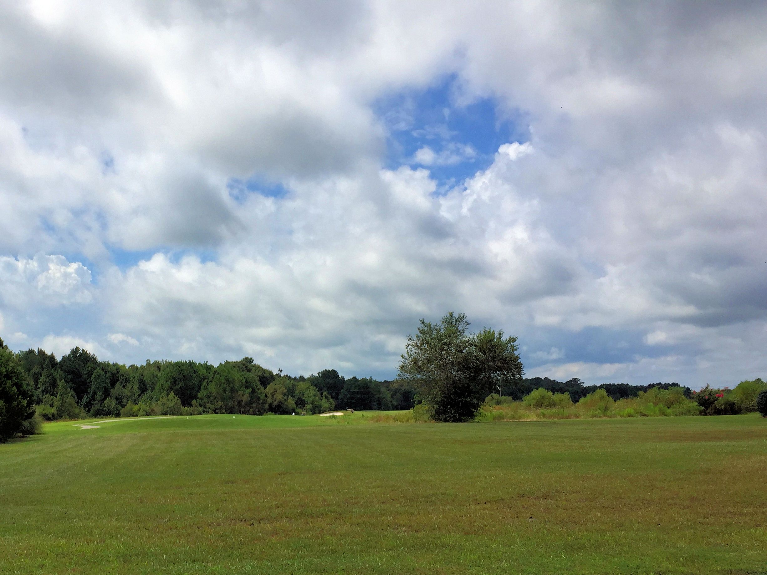 Castle Bay Country Club Homes for Sale in Hampstead, NC