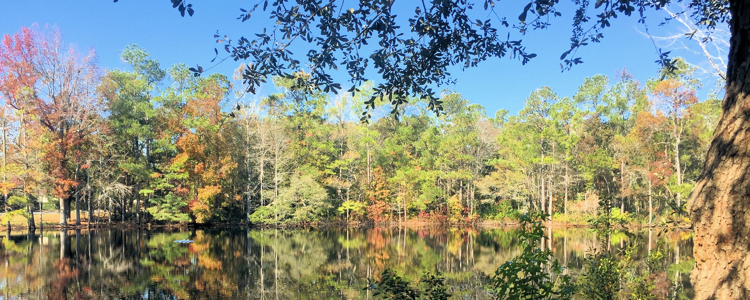 Crown Pointe Homes for Sale in Hampstead, NC The Cameron Team