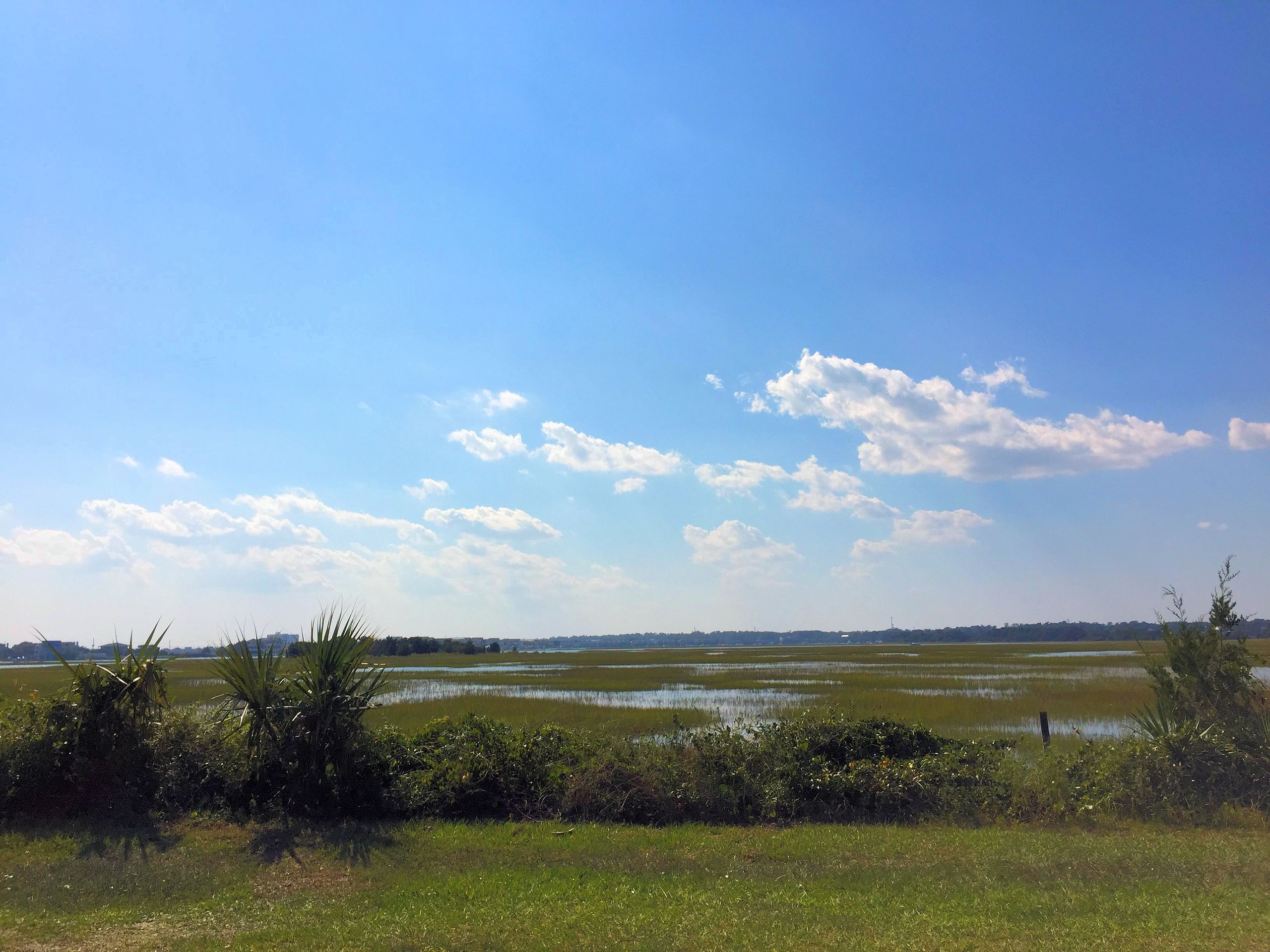 Parmele Isle Marsh View The Cameron Team