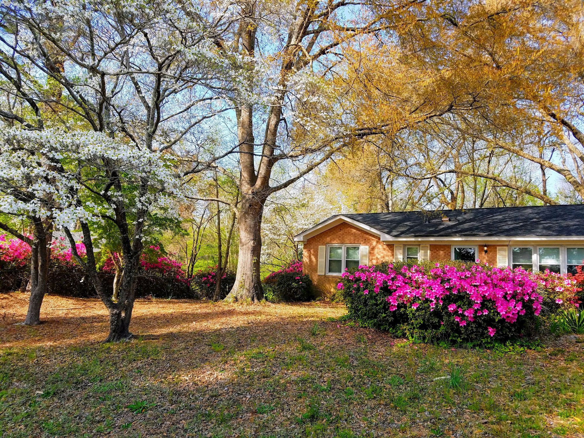 Kings Grant Homes for Sale in Wilmington, NC The Cameron Team