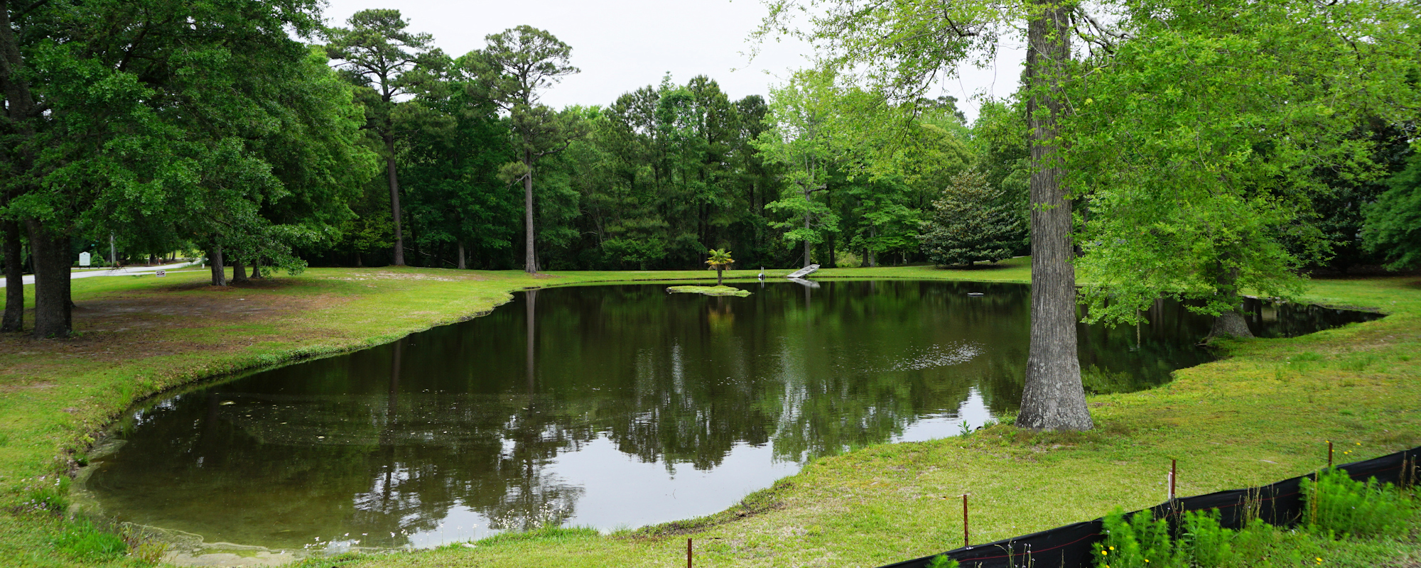 Sparrows Bend Homes for Sale in Hampstead, NC Cameron Team