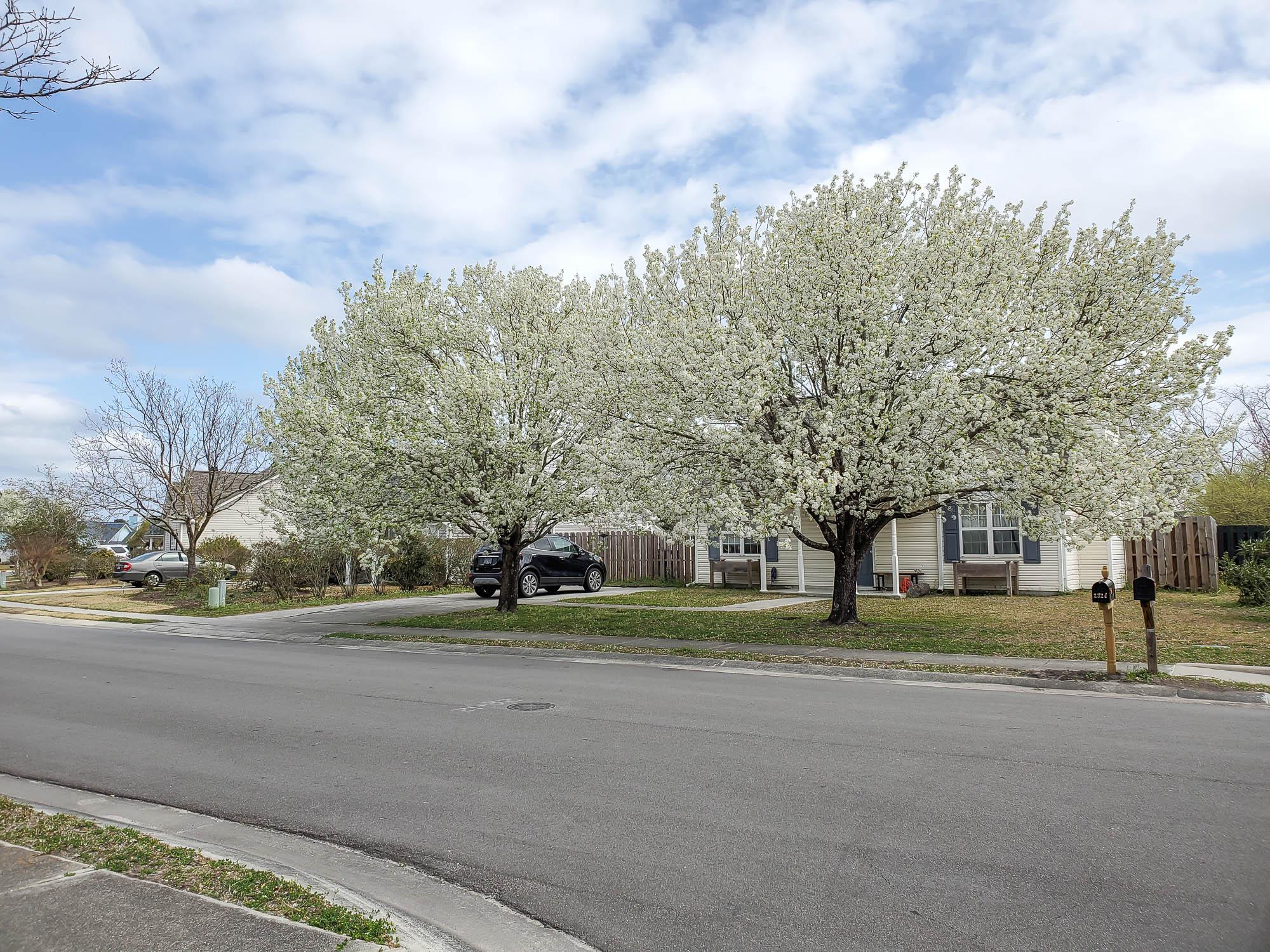Meadowbrook Homes for Sale in Wilmington, NC The Cameron Team