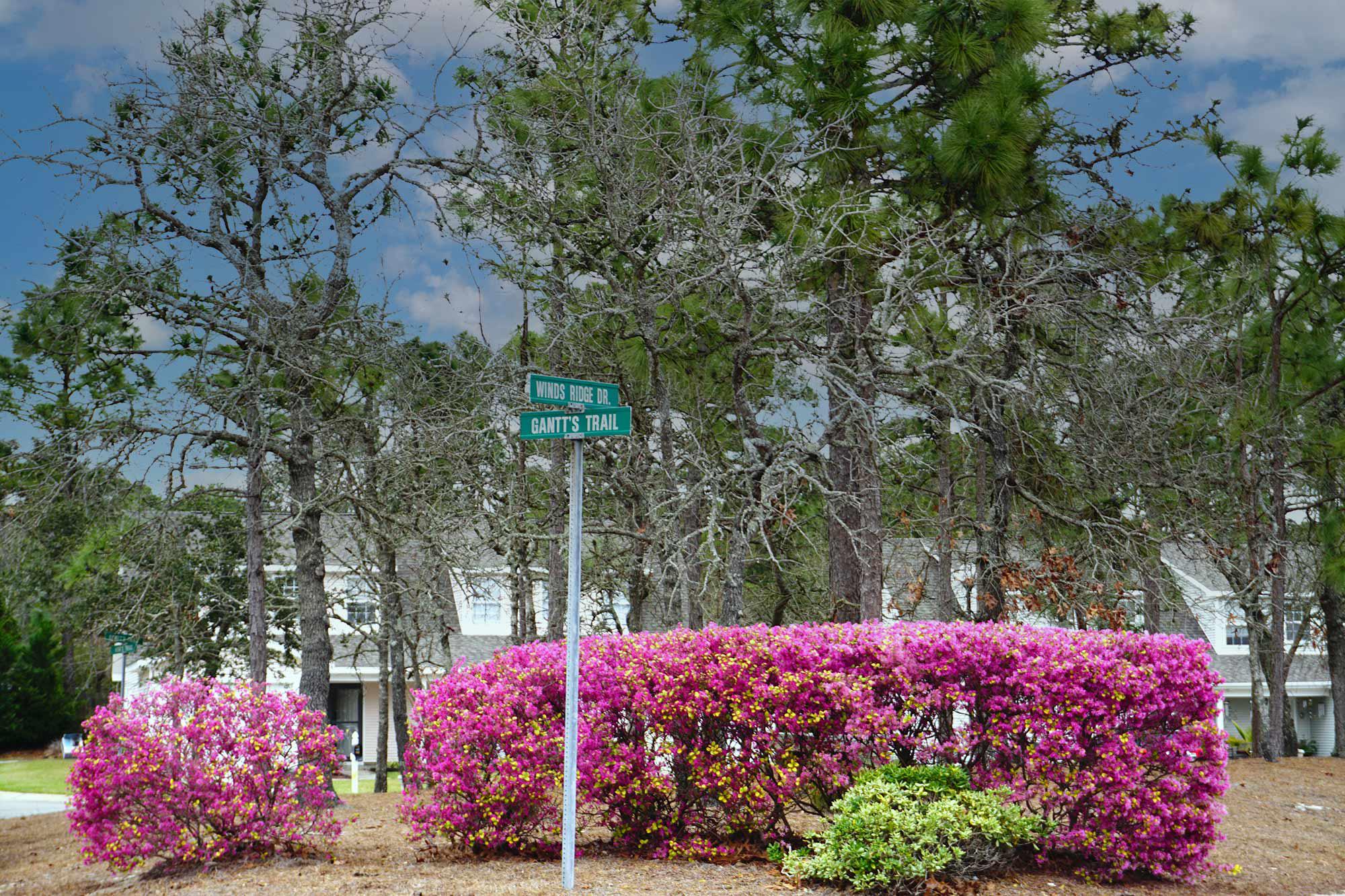 Winds Ridge Townhomes for Sale in Wilmington, NC The Cameron Team