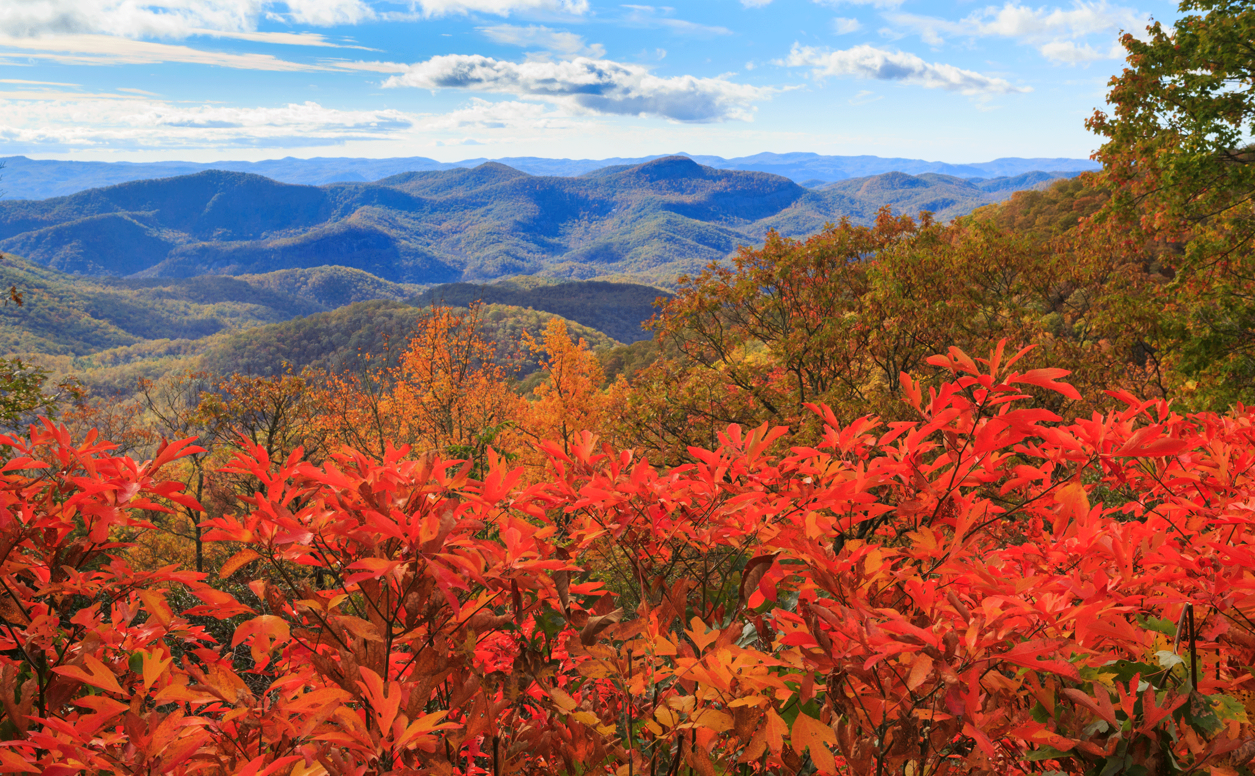 Highlands NC Homes, Time is Here to Plan for Fall Chores