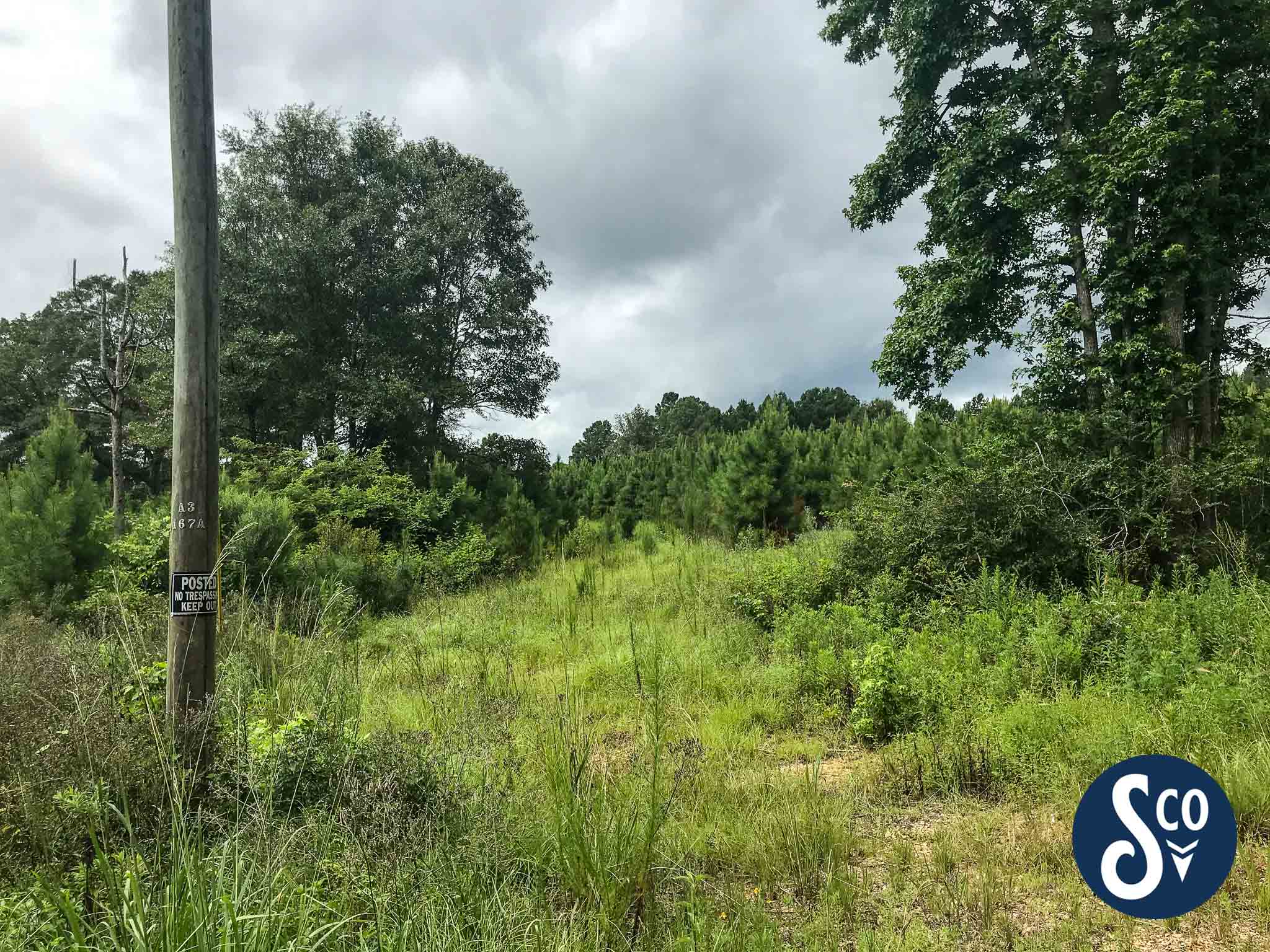 49 +/ acres Jefferson Davis County, MS 39427 South & Company Properties