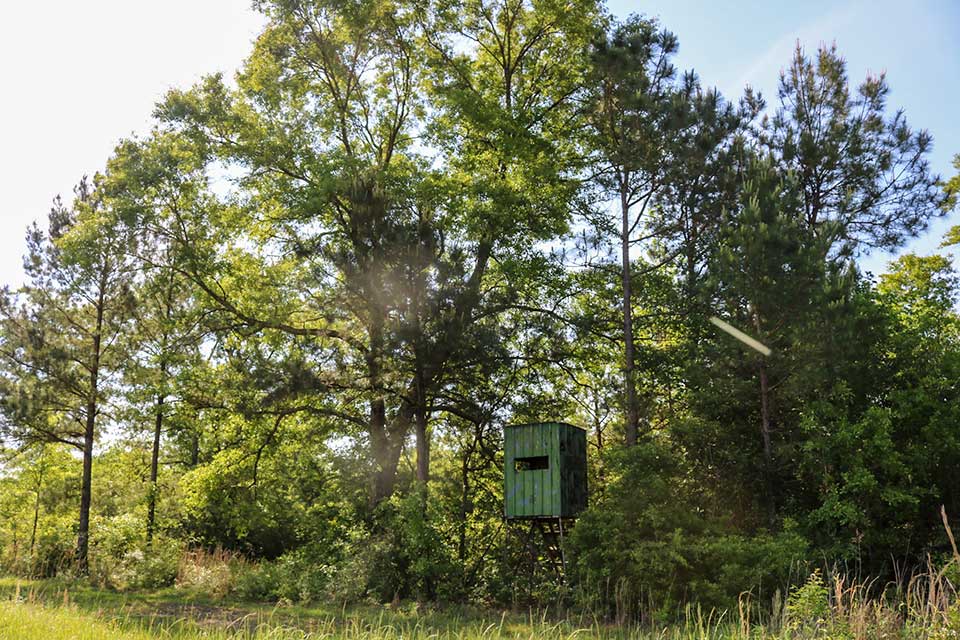 166 +/ acres Lamar County, MS 39402 South & Company Properties