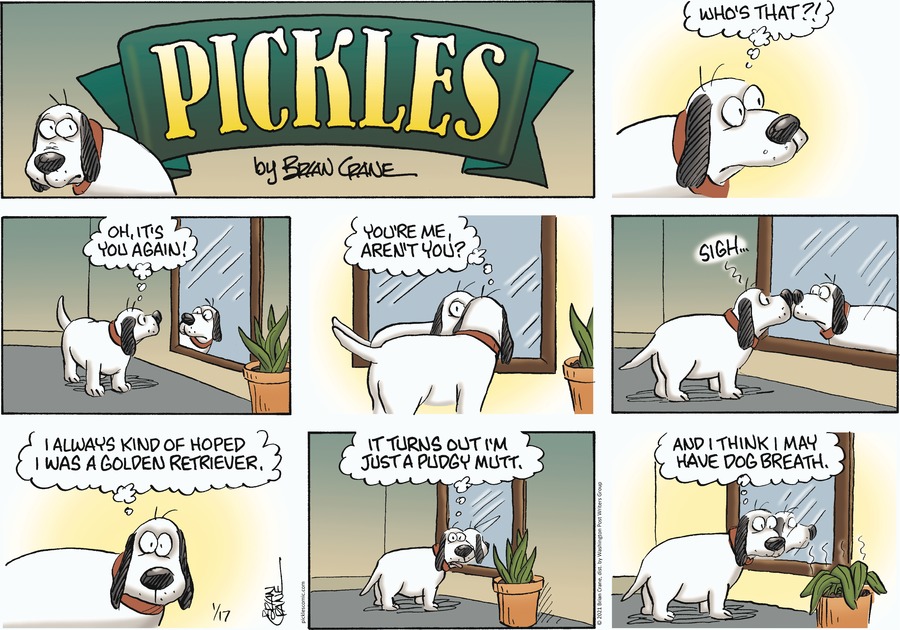 Pickles by Brian Crane for January 17, 2021