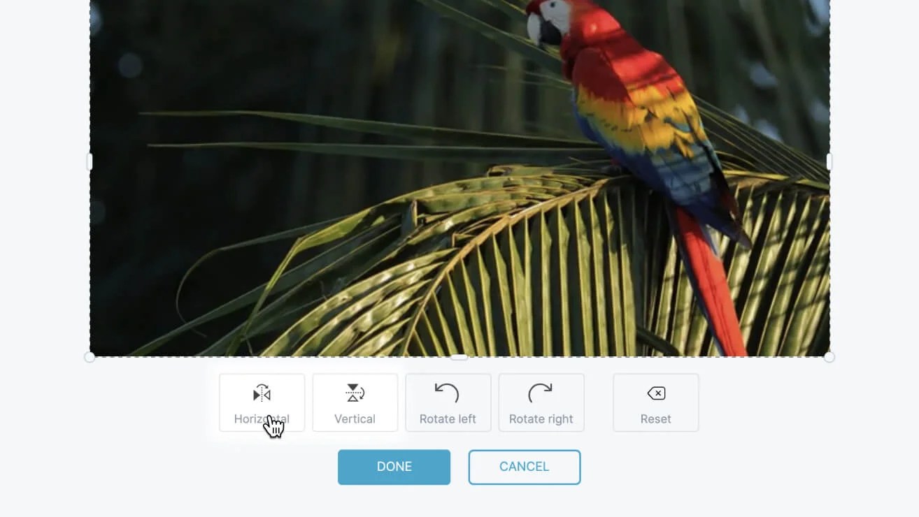 Flip Video Online and Free Wave.video