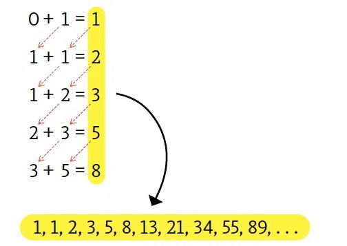 The Golden Ratio Curious Connections in Creation Answers in Genesis