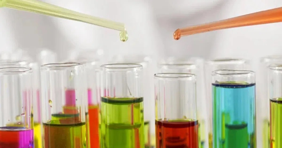 Kids Feedback: Science Fair Project