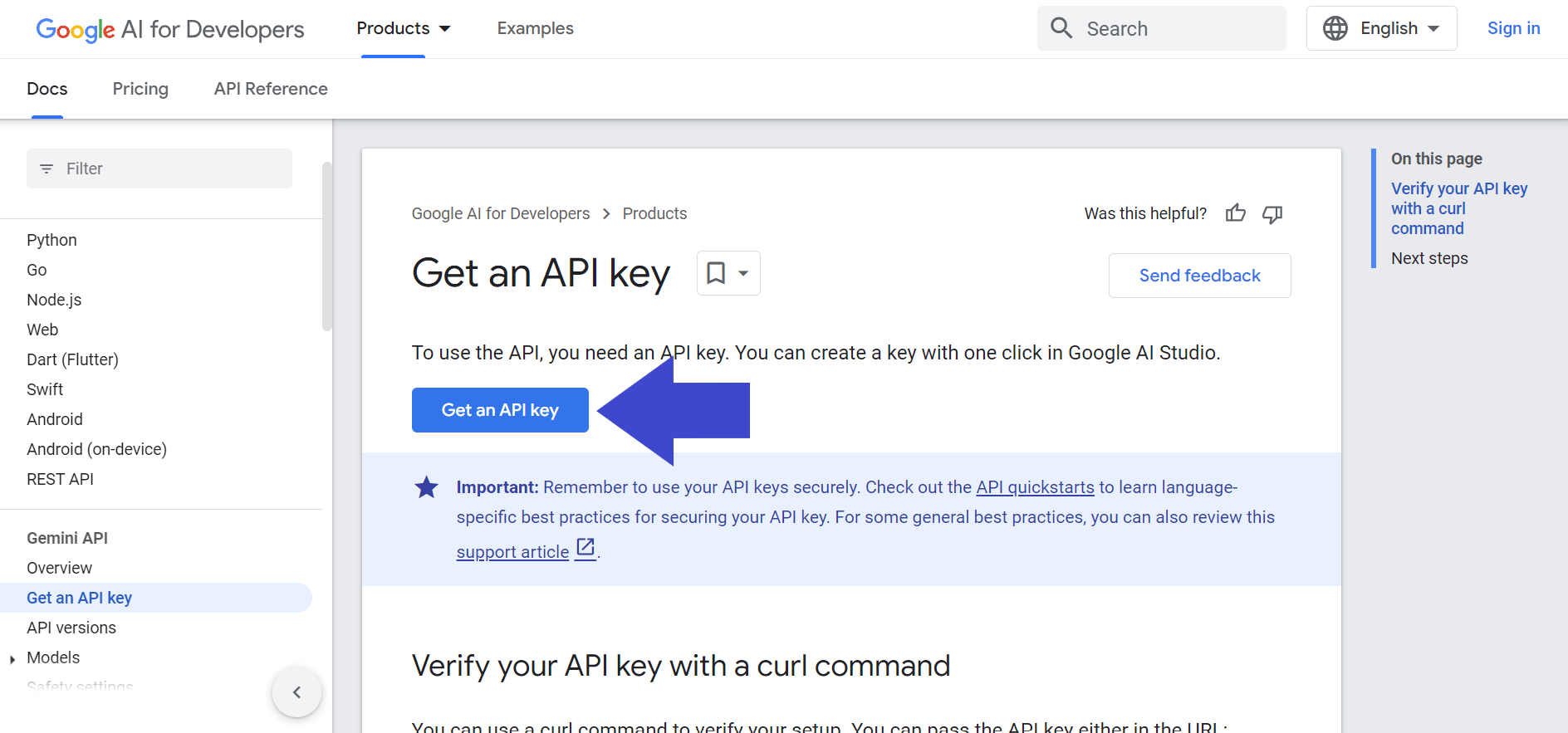 Guide What is Google Gemini API and How to Use it?