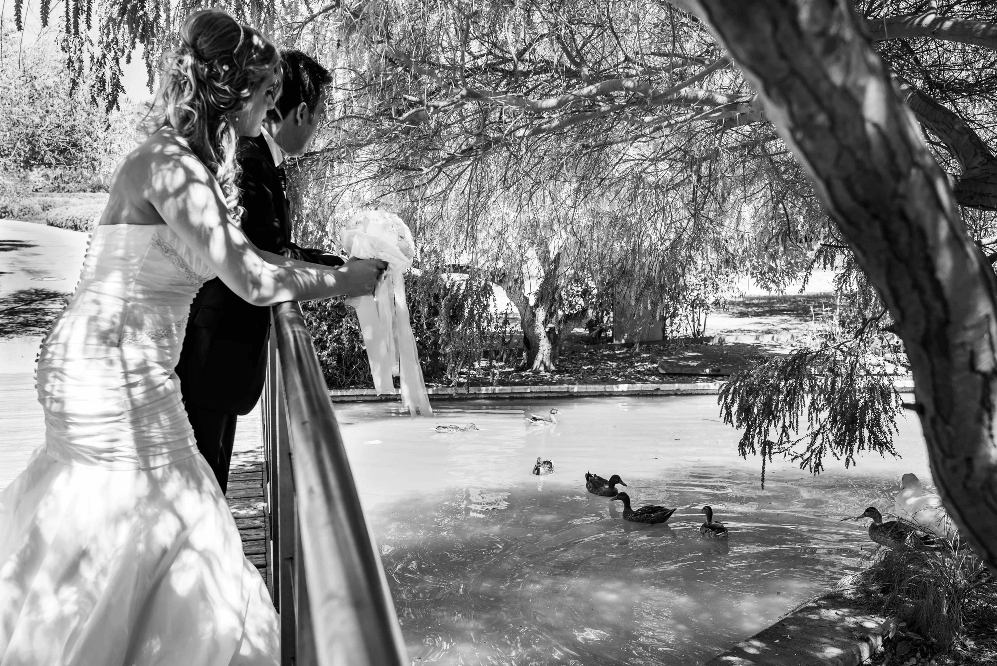 BODAS David Perez Fotos