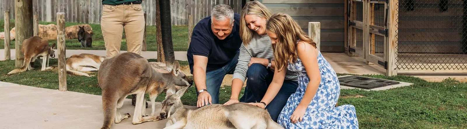 Kangaroo Walkabout Ark Encounter