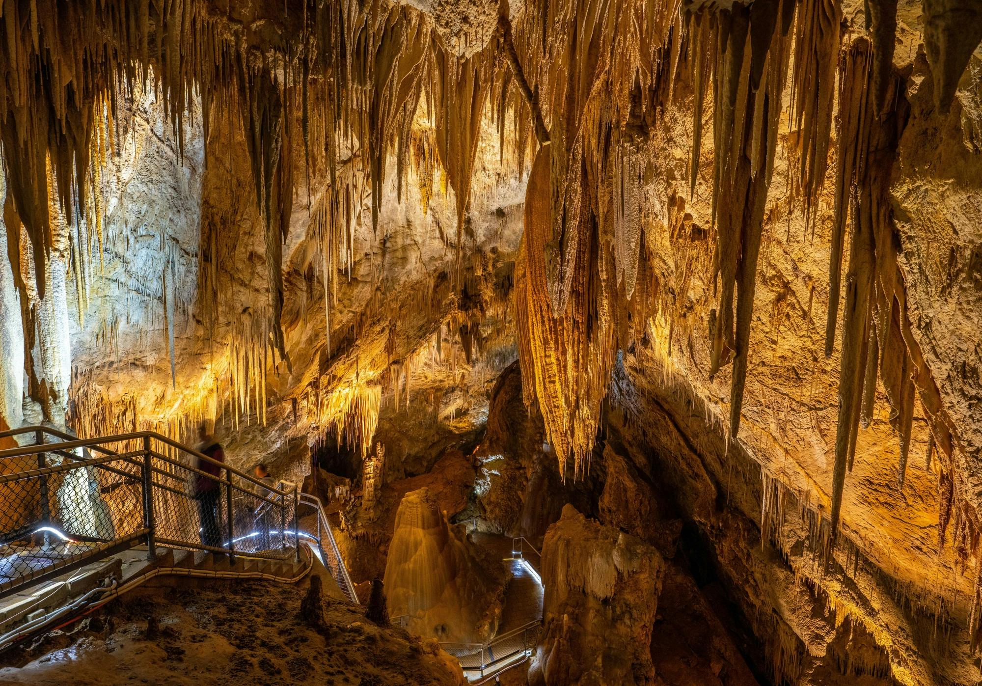 Hastings Caves and Thermal Springs Discover Tasmania