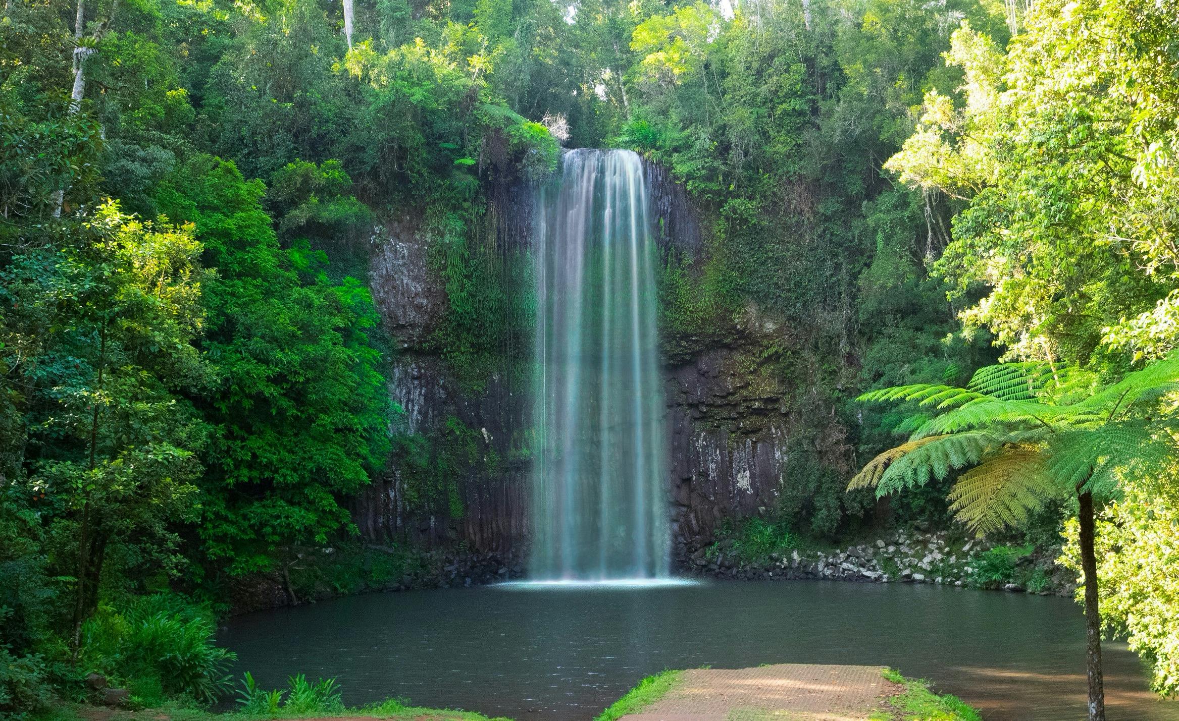Millaa Millaa Falls Attractions Queensland