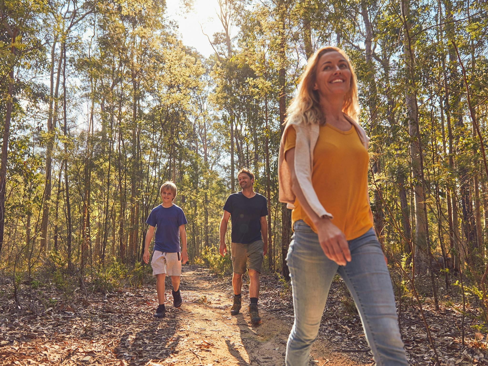 Mogo Bushwalk NSW Holidays & Things to Do, Attractions