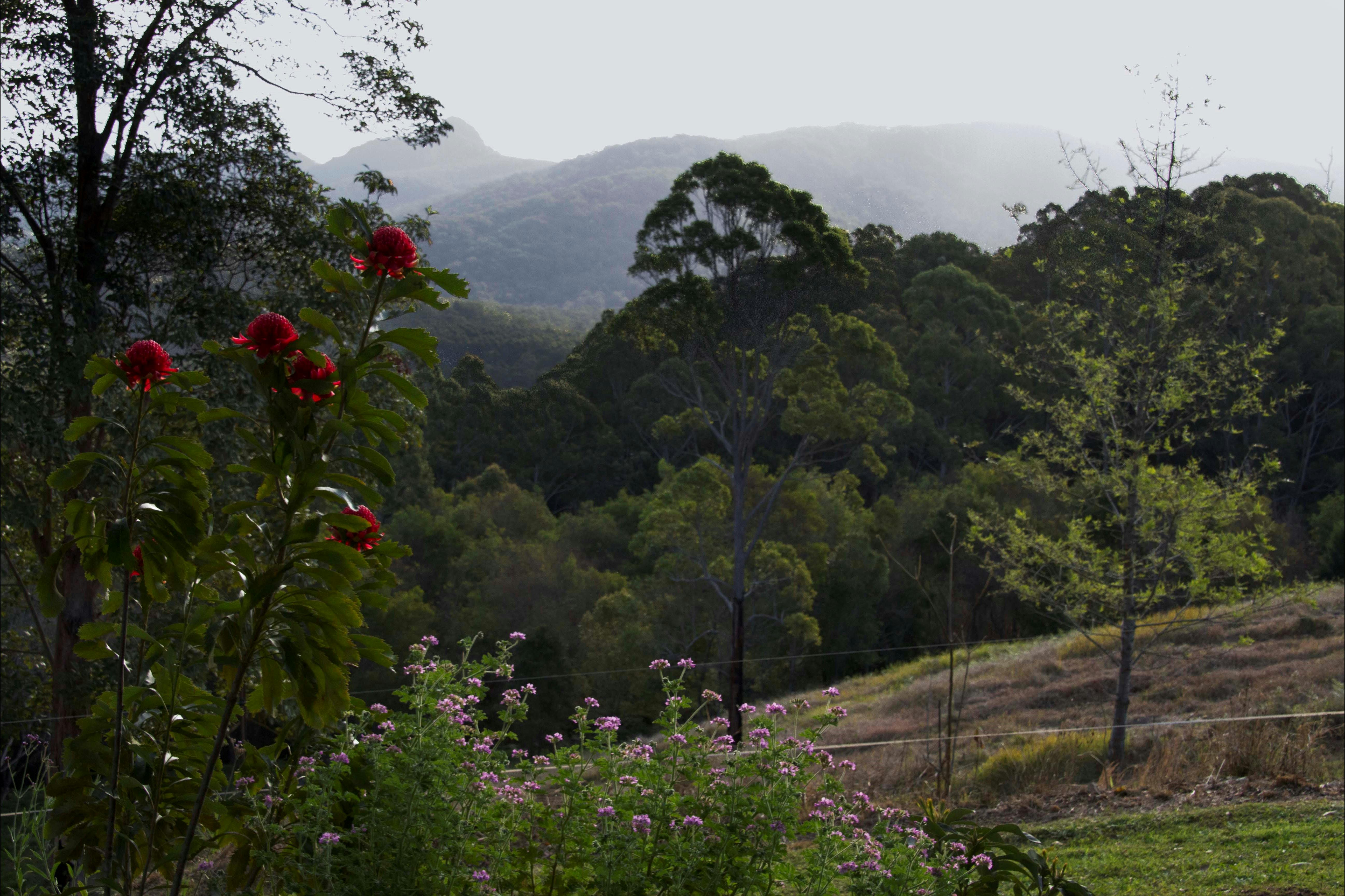 Hannam Vale Open Gardens Day NSW Holidays & Things to