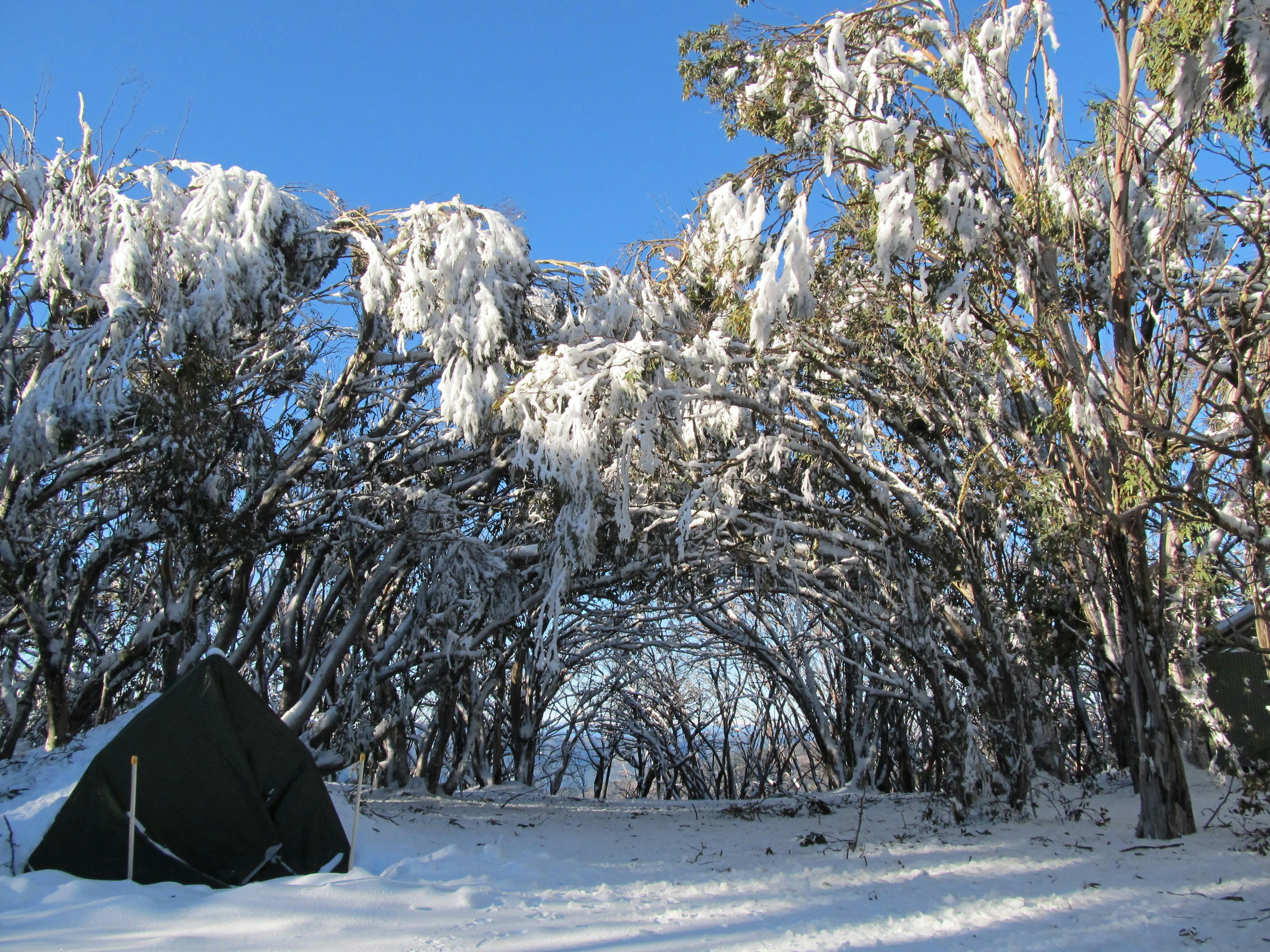 Mt Stirling Alpine Winter Camp Victorias High Country