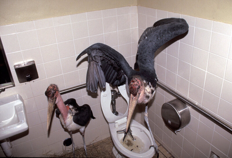 The Story Behind the Most Famous Photo from Hurricane Andrew Atlas
