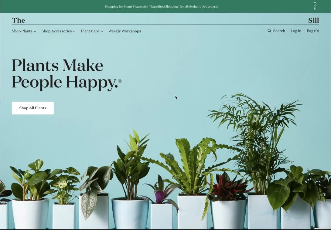 Indoor Potted Plants Delivered to Your Door The Sill Design & Interactions Awwwards