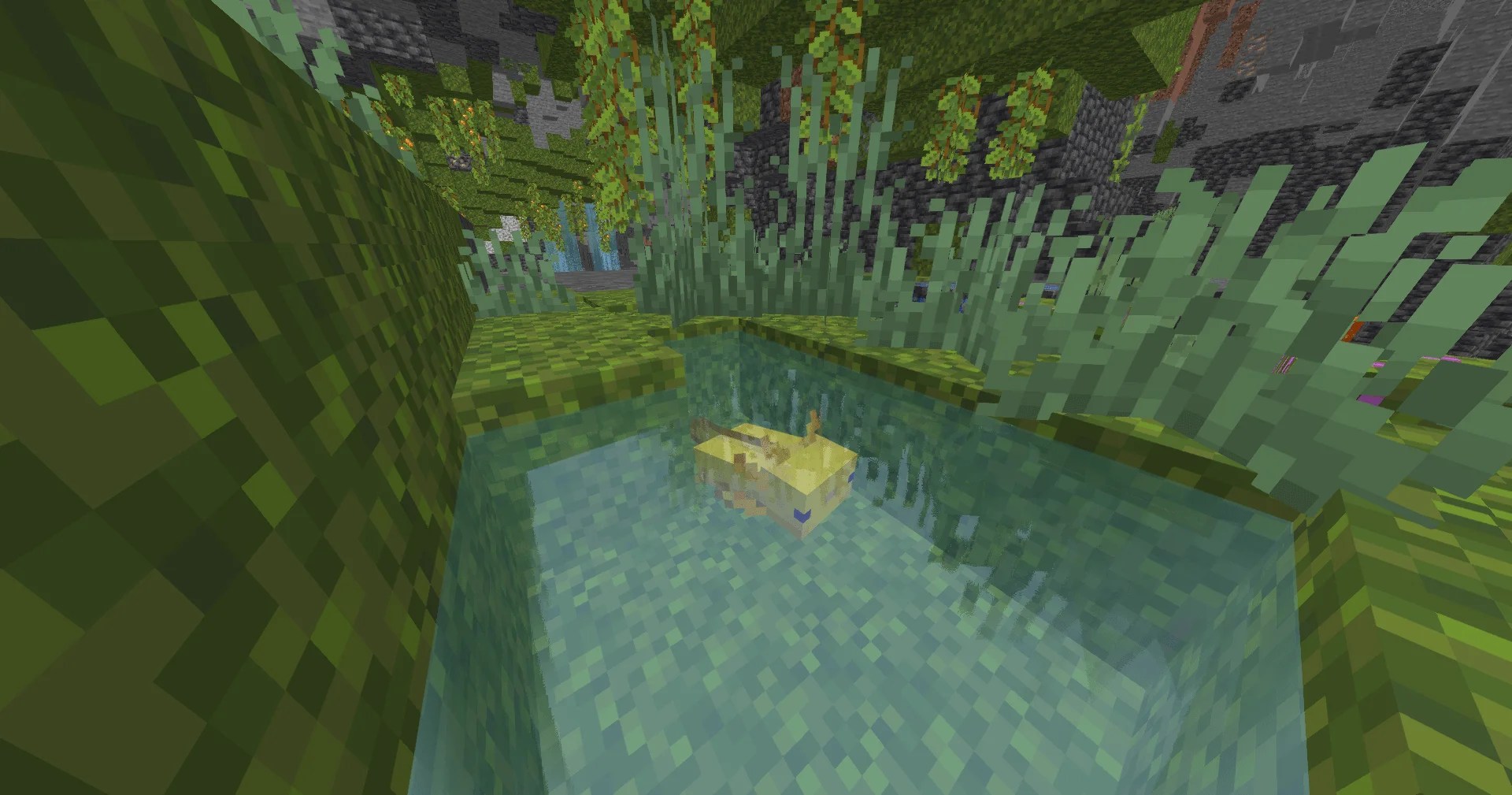 How to Tame every Animal in Minecraft Badlion Client