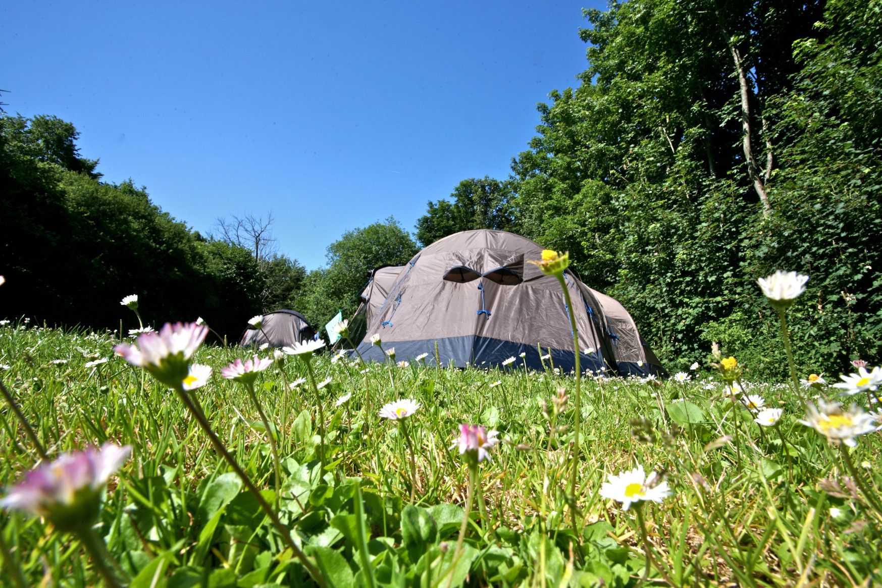 Naturcamping Vulkaneifel, RhinelandPalatinate & Saarland