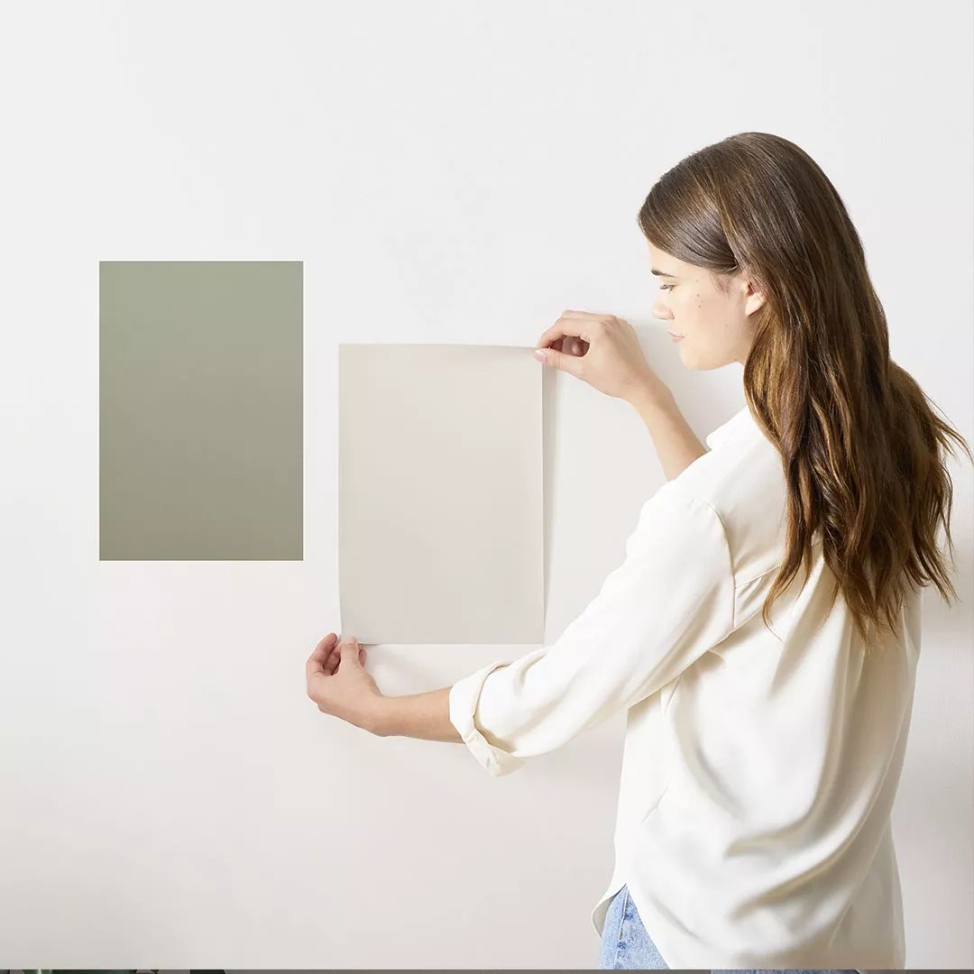 PeelandStick Paint Sample Arctic Seal CSP15 Benjamin Moore