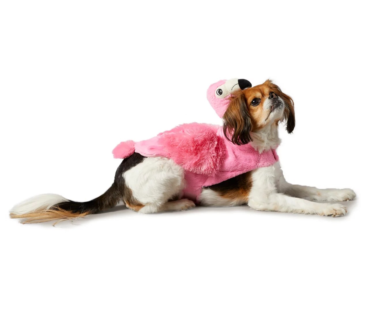 Dog's Pink Flamingo Costume Big Lots
